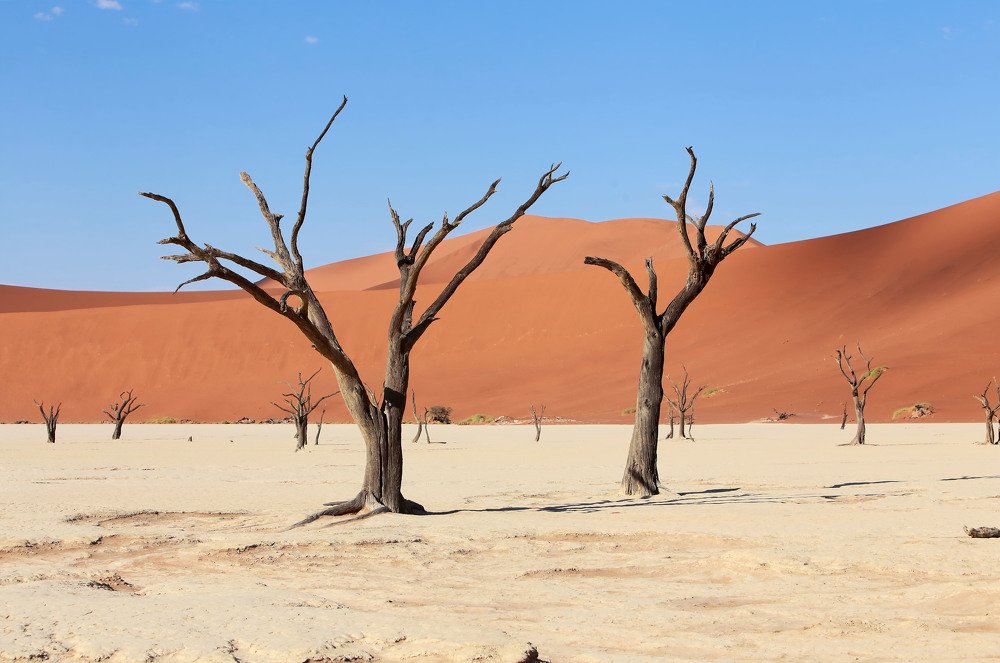 Deadvlei Namibia