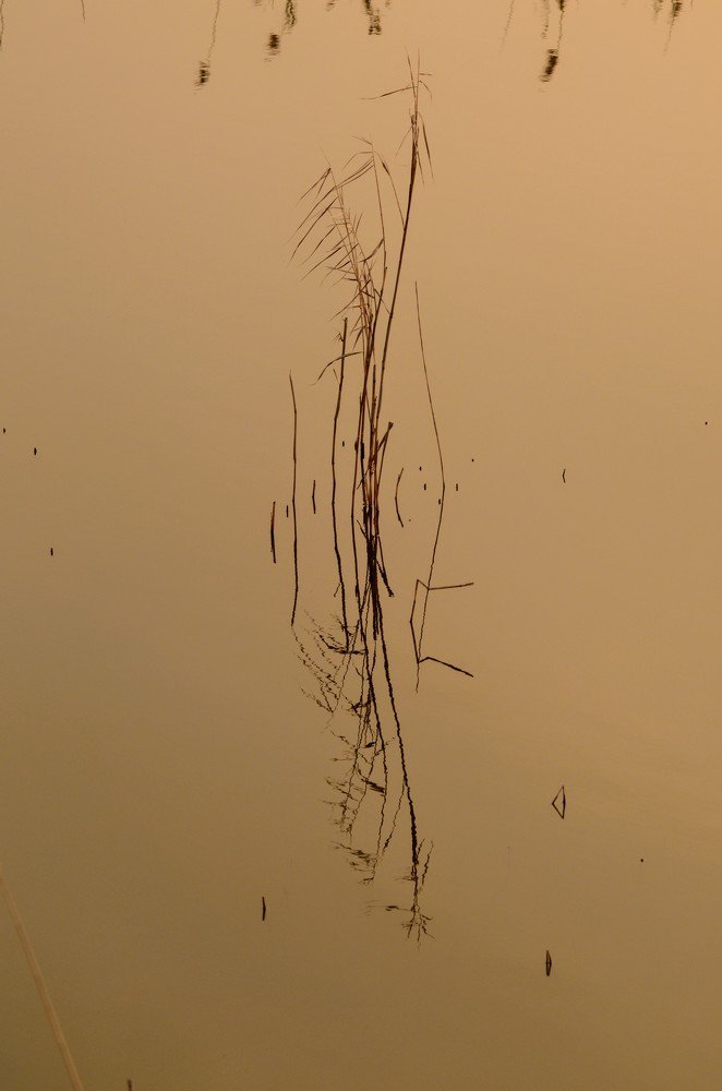 Идеальное отражение