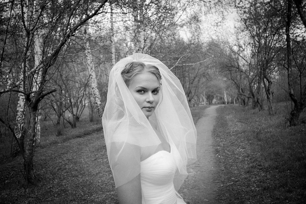 Photograph by Павел Синегубов