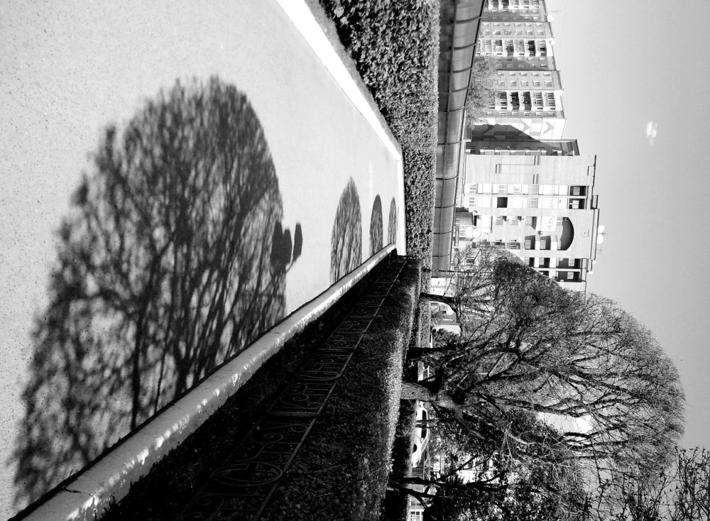 Полукружья