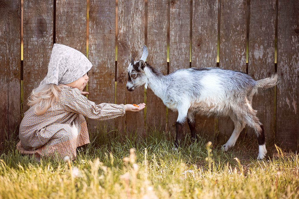 У меня живёт козлёнок, я сама его пасу.