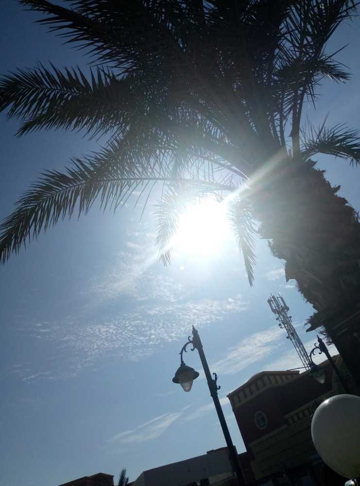 Photograph by Виктория Жуковская