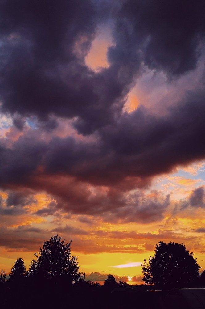 Photograph by Павел Синегубов