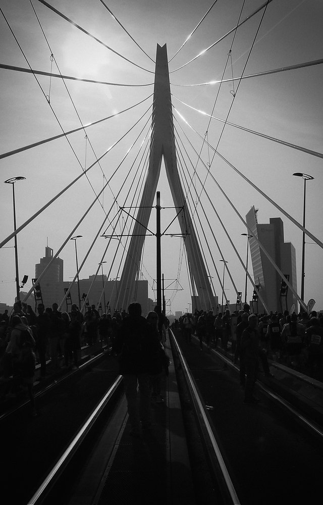 Мост Эразма, Роттердам