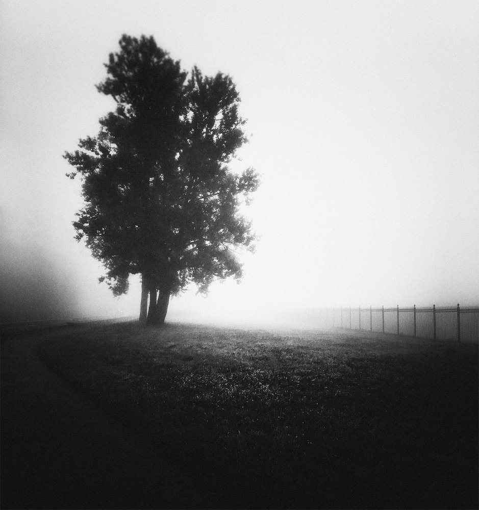 Photograph by Алексей Герасимов