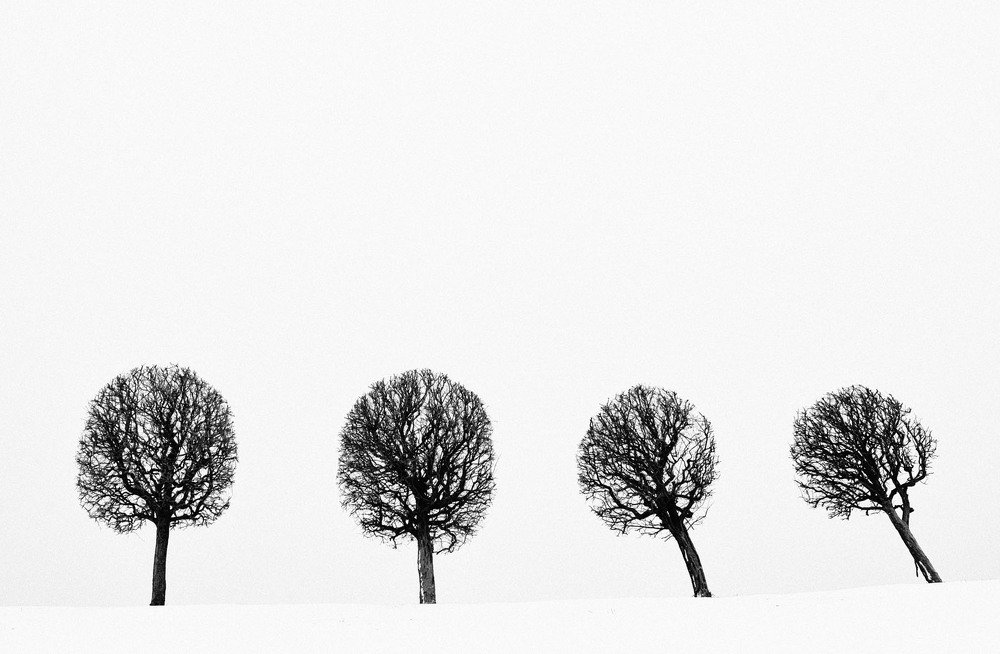 Photograph by Алексей Герасимов