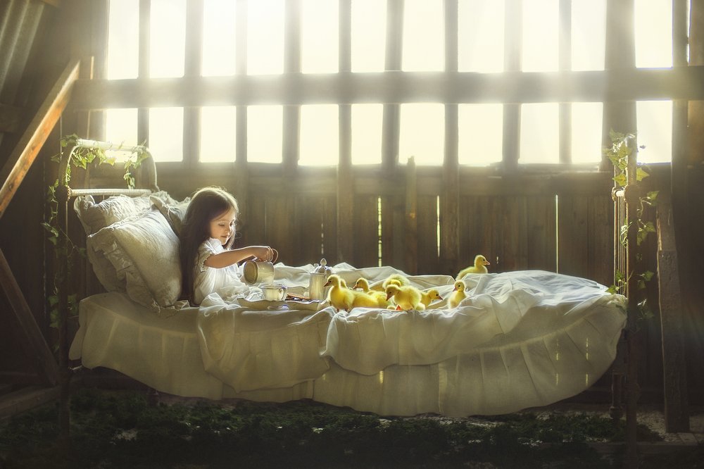 Photograph by Джейрана Сауляк