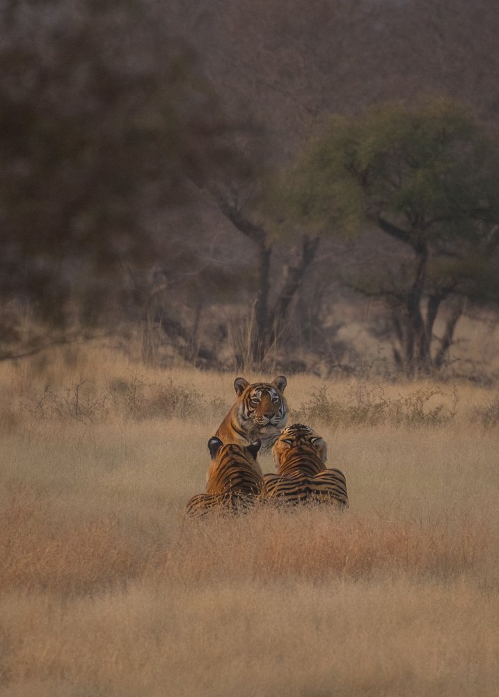 MORNING CLASS BY DAD