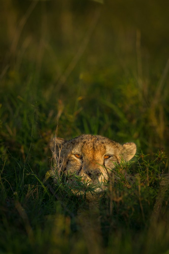 Always someone watching you