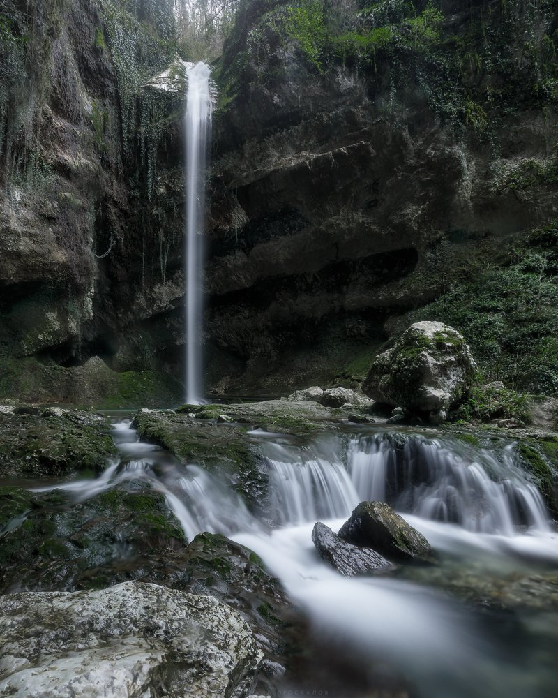 Пасть дракона