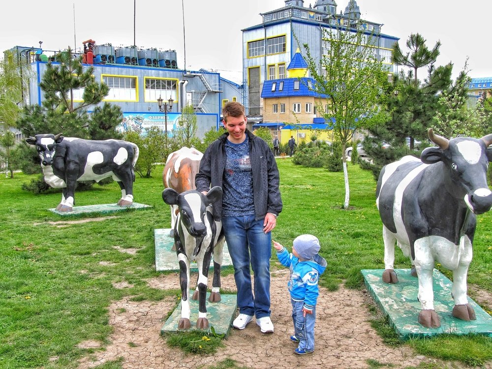 Братья на прогулке