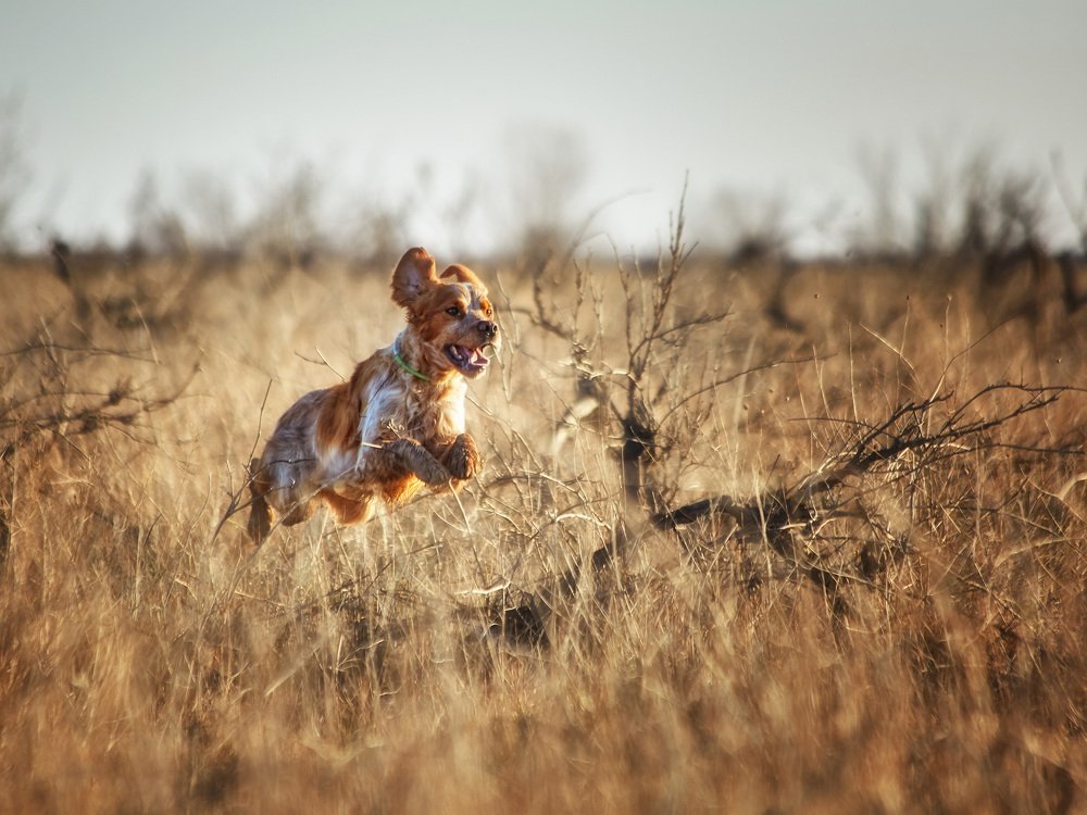 Полёт нормальный!