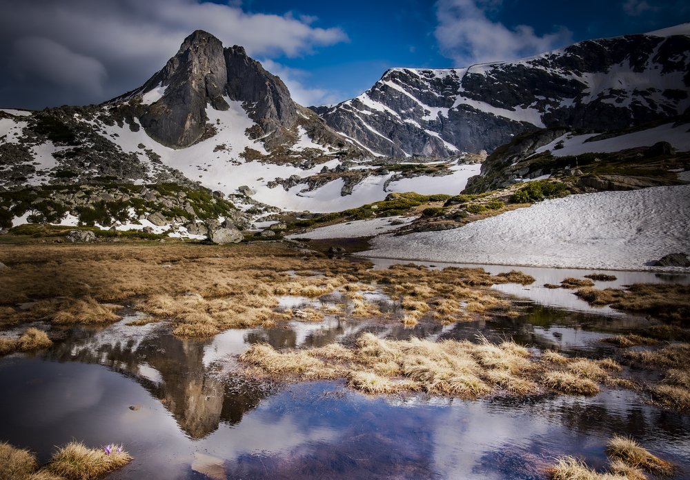 Photograph by Venelin Dimitrov