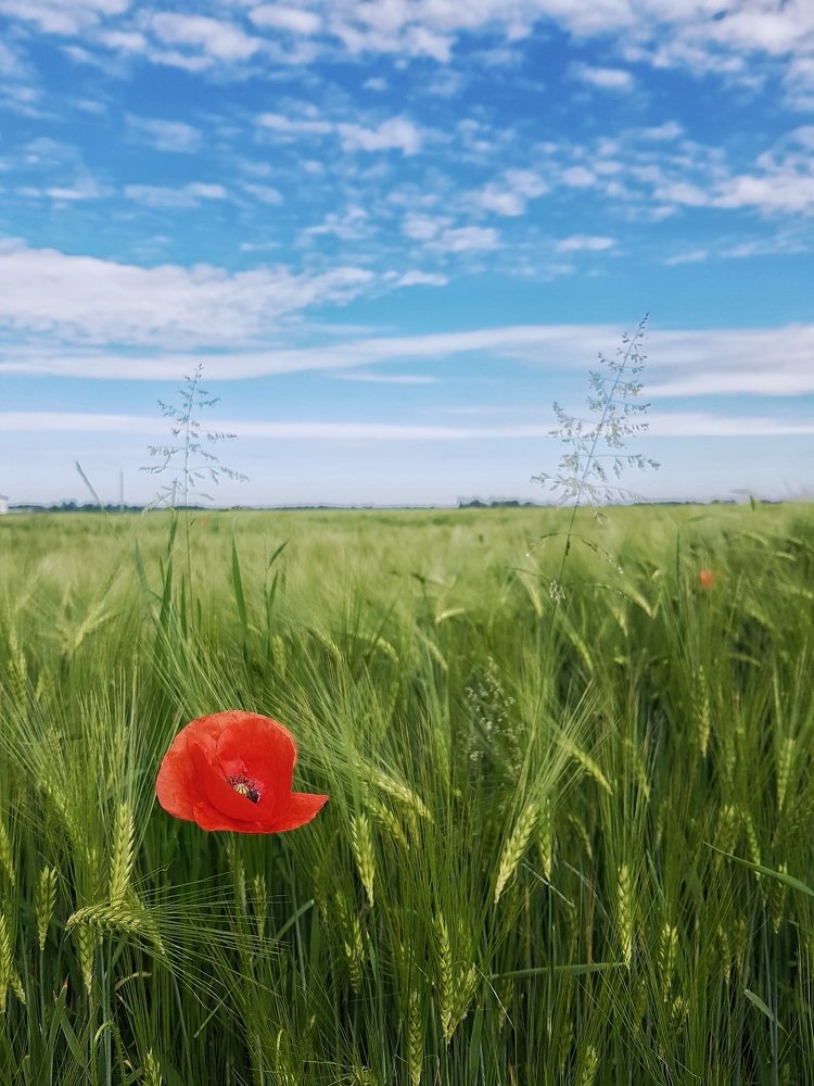 Красота вокруг нас