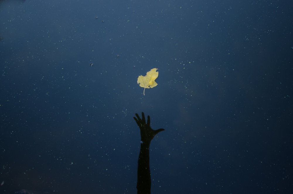 The Life we try to hold for ever