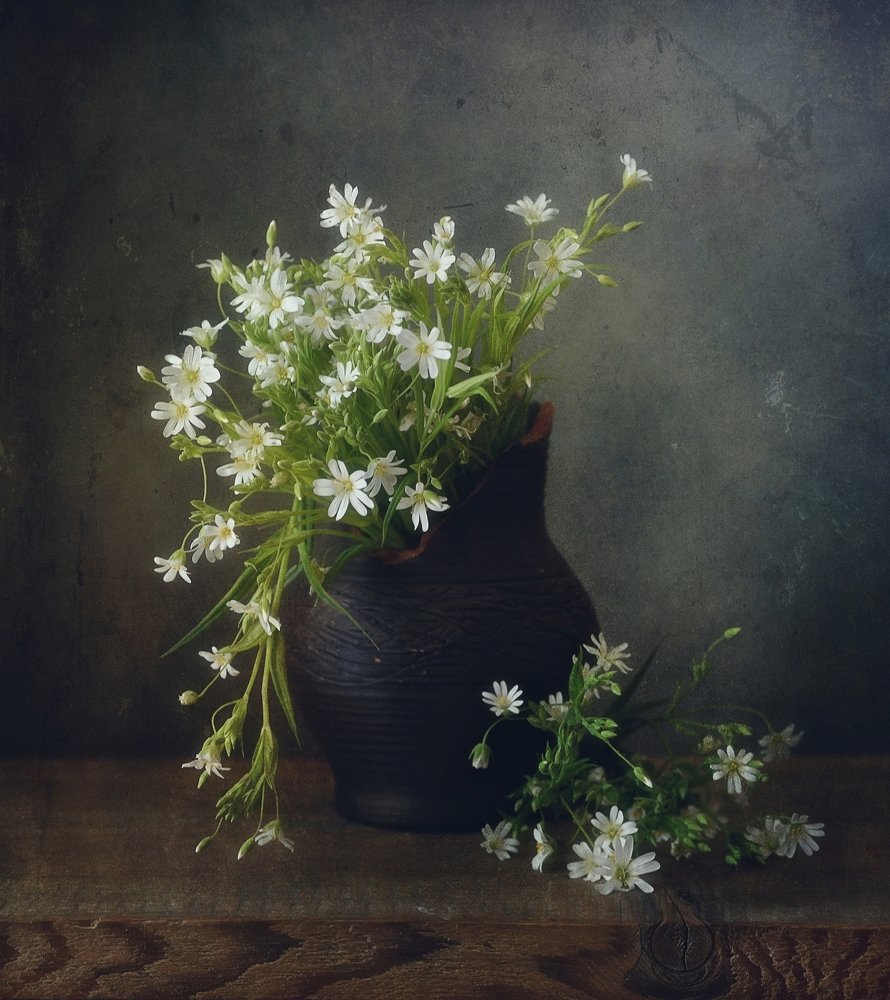 со звездчаткой...