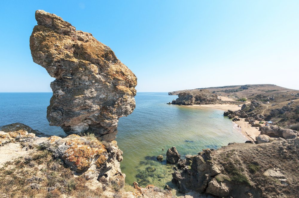 Очень большой кот.