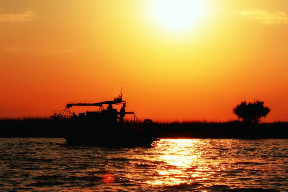 Photograph by Евгения Сафронова