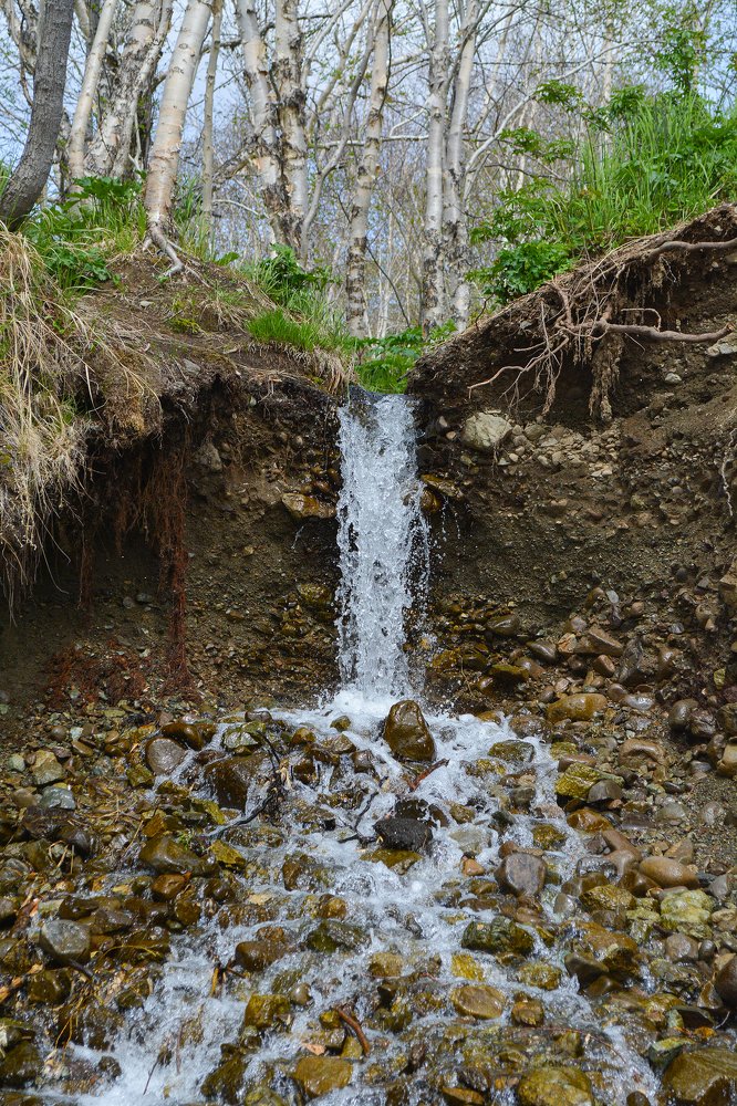 Photograph by Ольга Ривкина