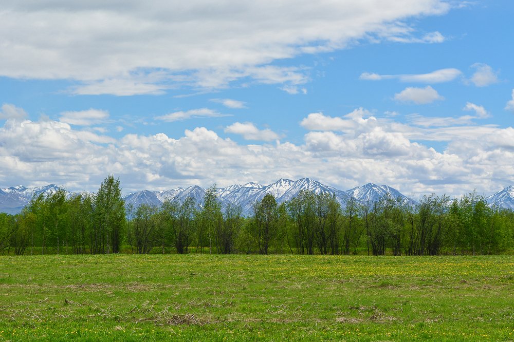 Photograph by Ольга Ривкина