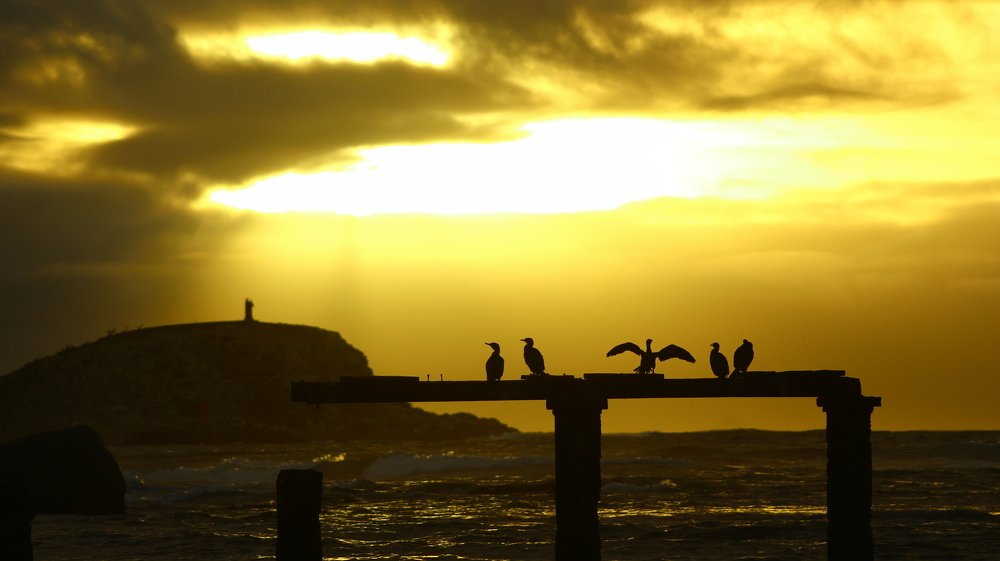 Sunset in family