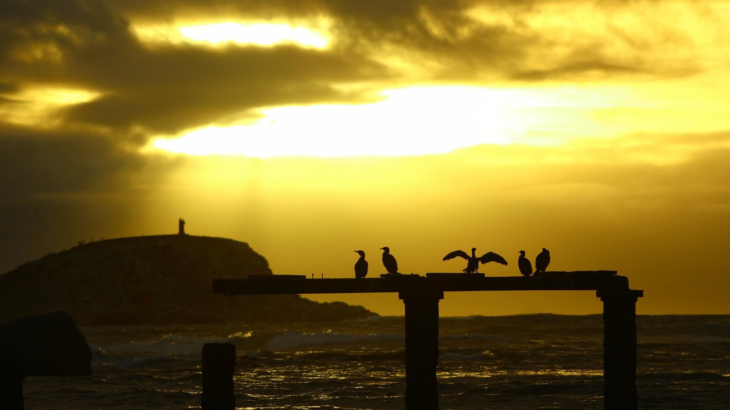 Sunset in family