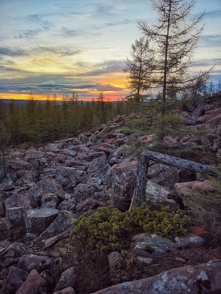 Вечерний пейзаж. Якутия