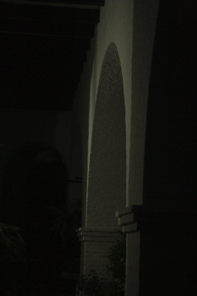 The dark arch of life