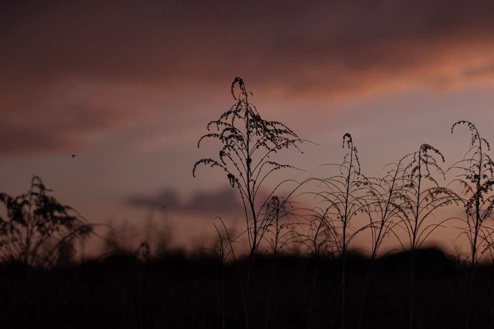 Закат в начале лета