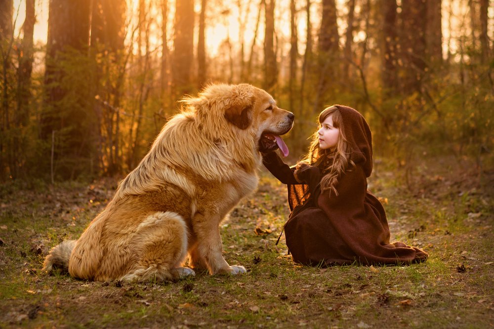 Большое чудо