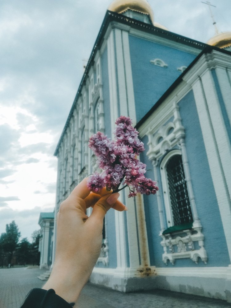 Тульская сирень