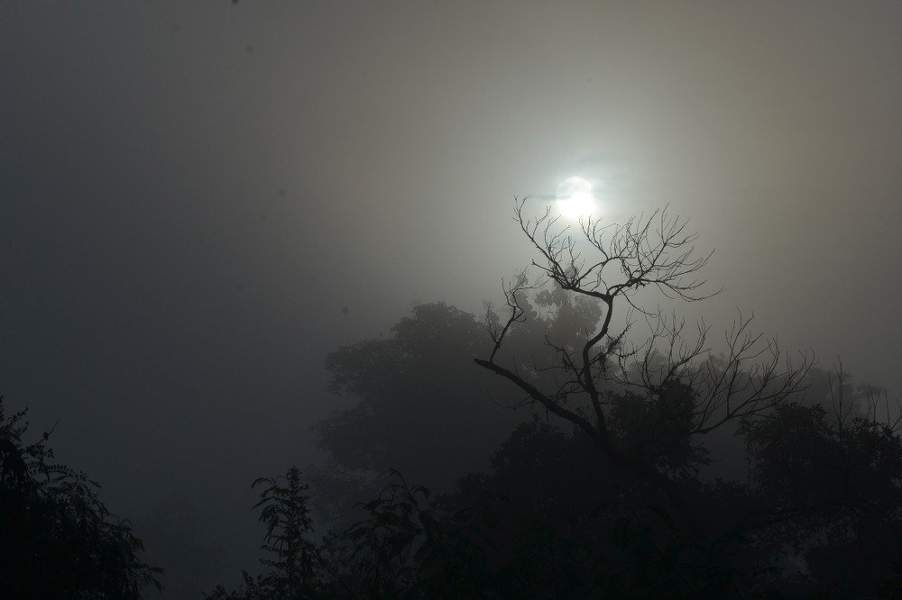 Misty morning