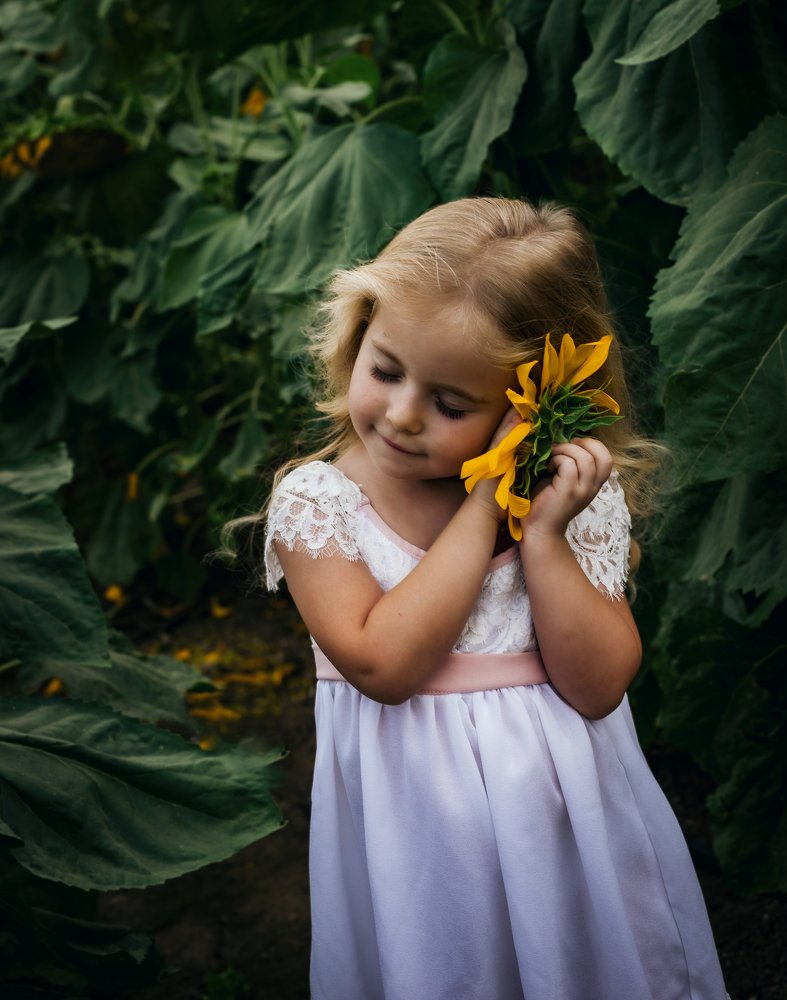 The Sunflower Girl