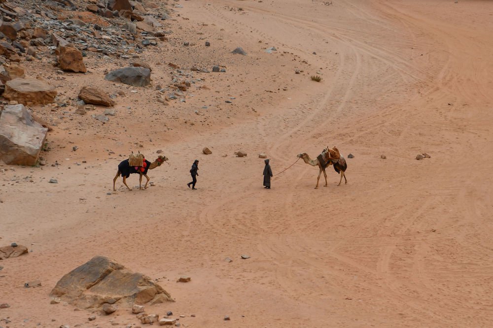 Meet me at the desert