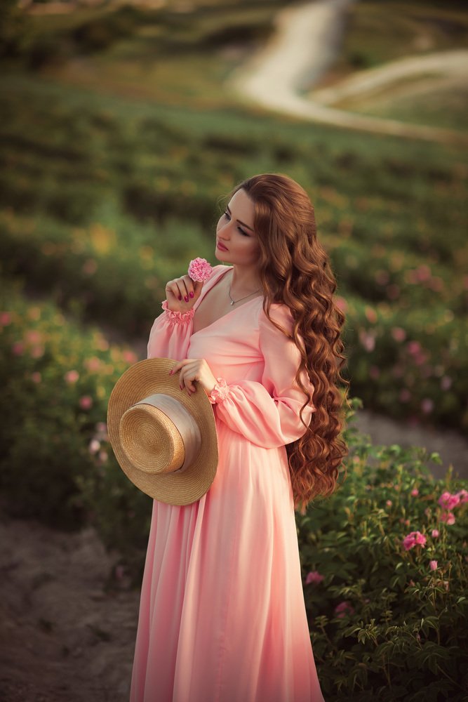 чайная роза