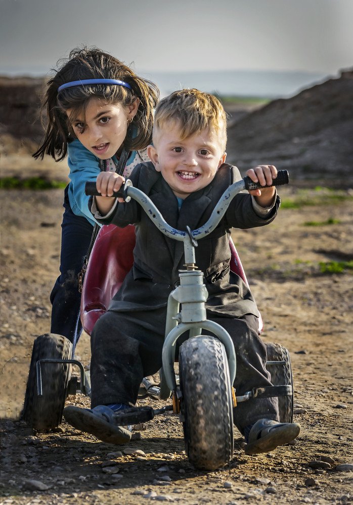 Фотография автора ziba alirezaei58