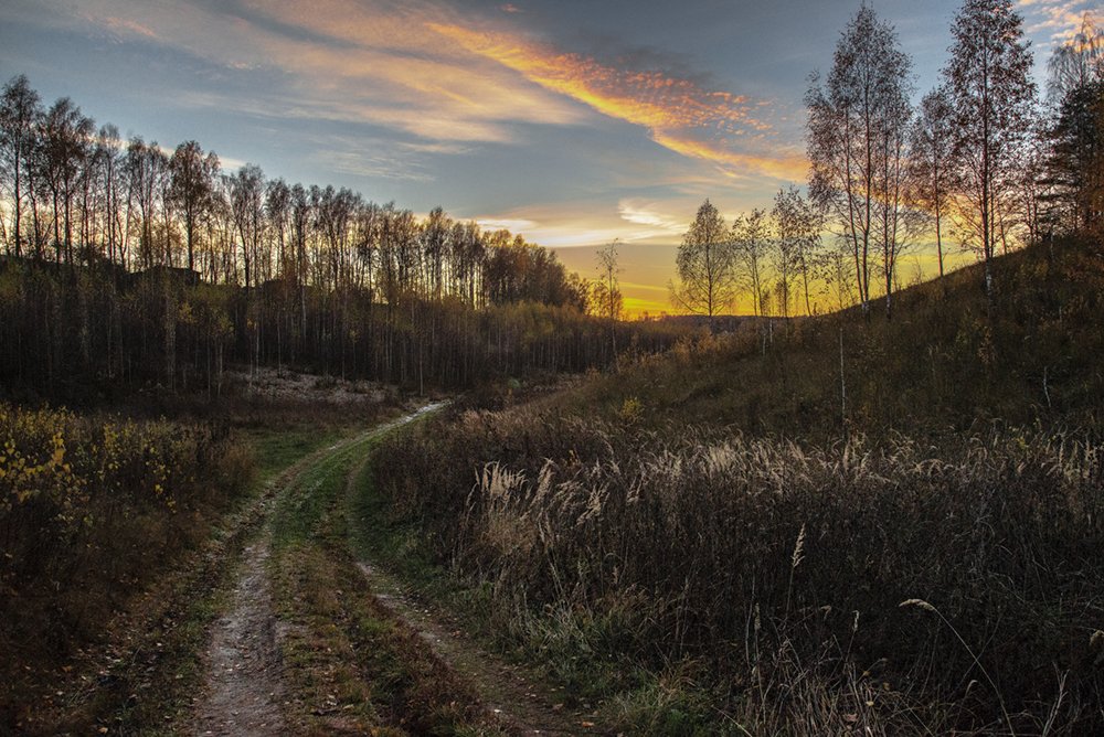 Дорога к дому