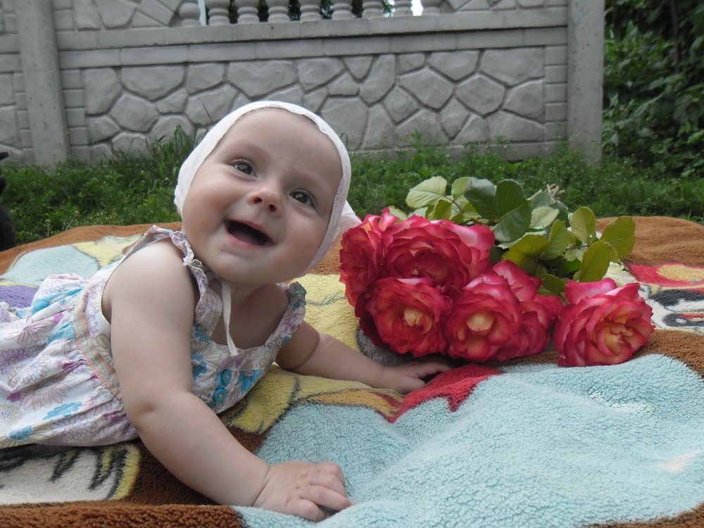 Photo #3272903