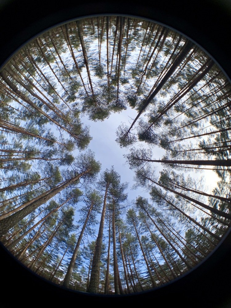 Мы многого не замечаем