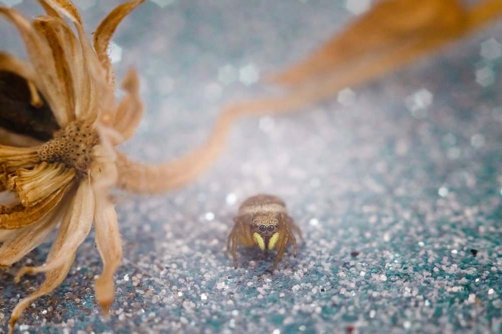 Фотография автора Summerlin