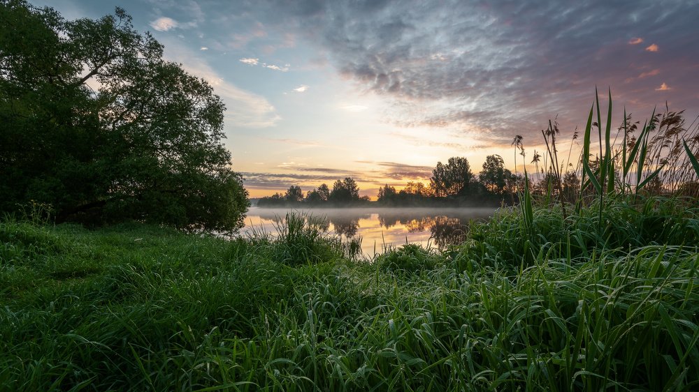 Рассвет на реке