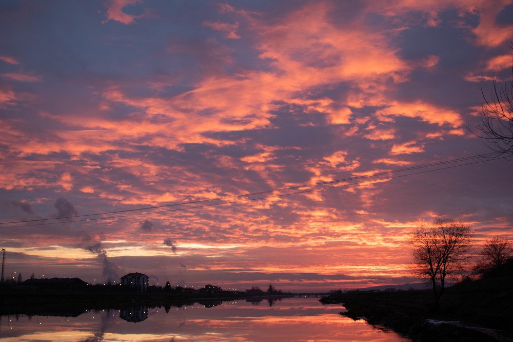 Photograph by Nagy Csaba