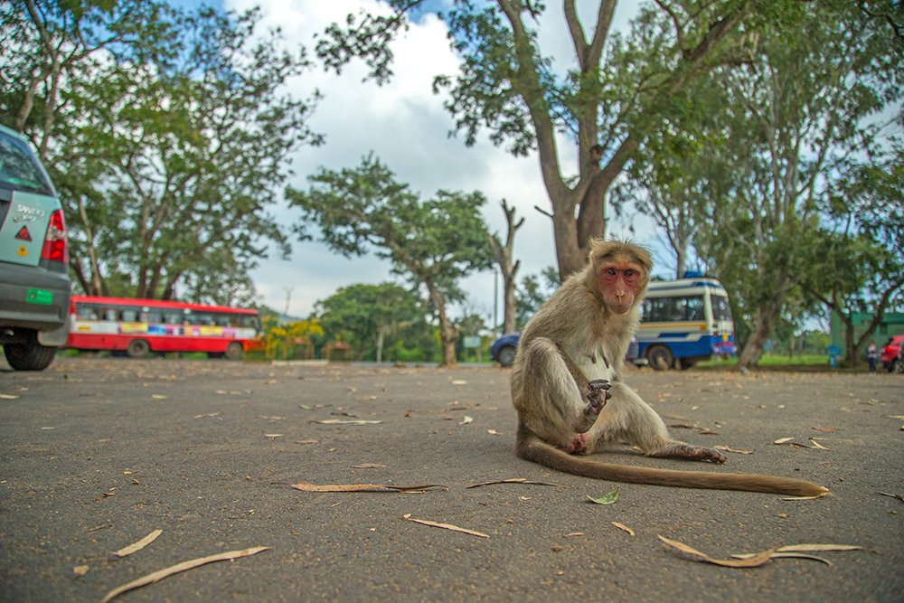 Broken Leg - Road Rash