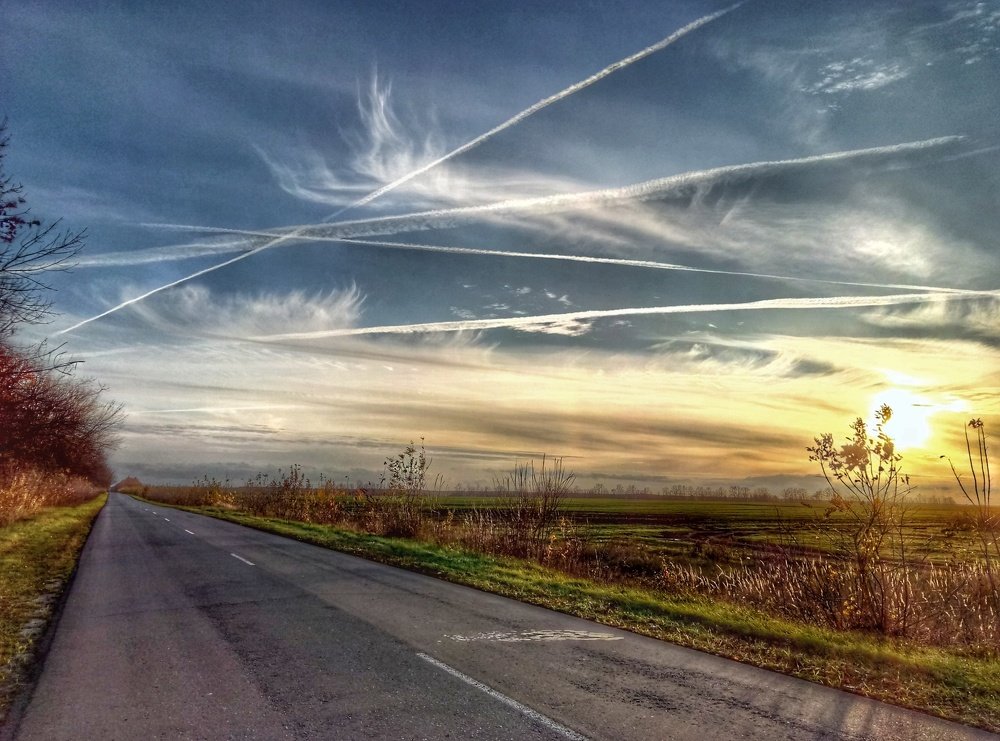 Photo #3273598