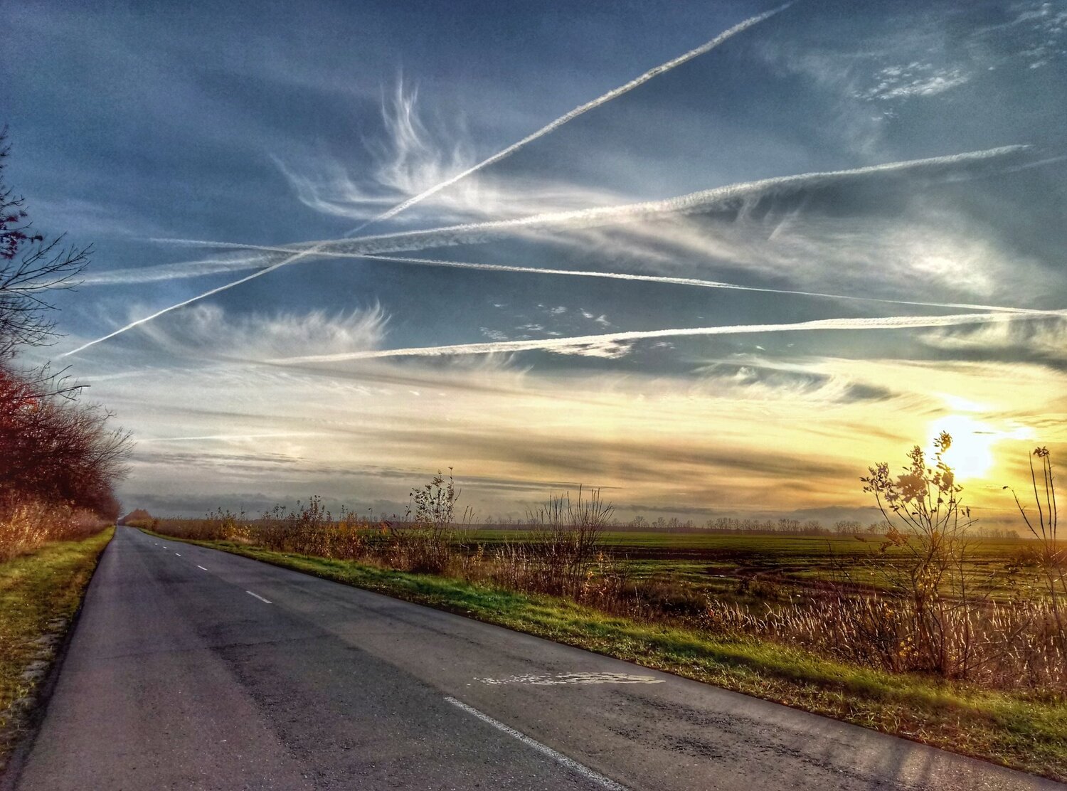 Photo #3273598