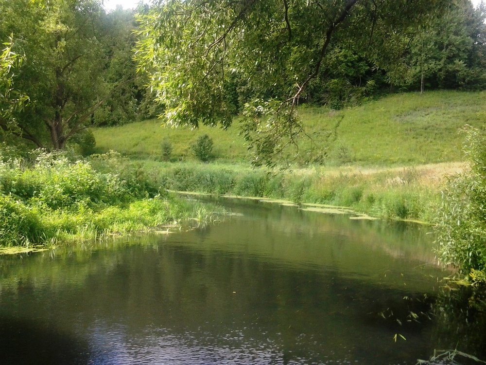 Легкий Ветерок