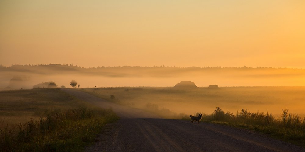 Утро в деревне