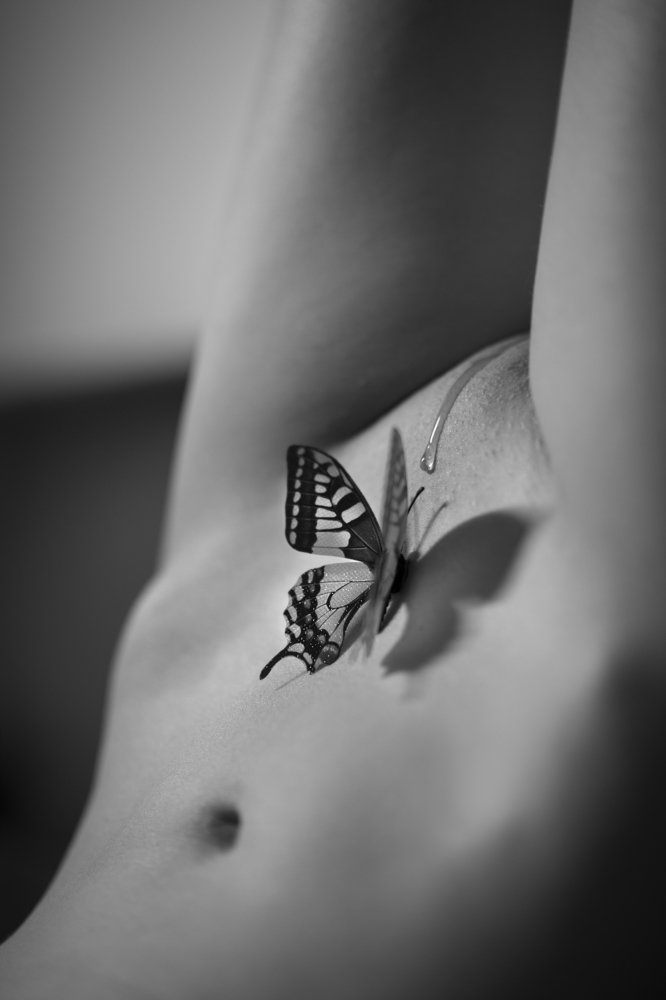 The Butterfly Effect