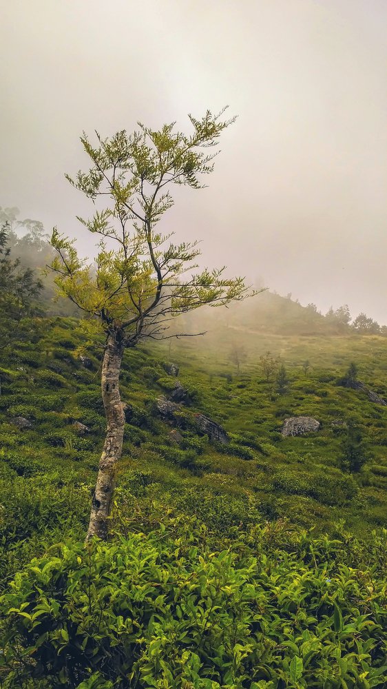 Hadraniel - The guardian of the heavens second gate