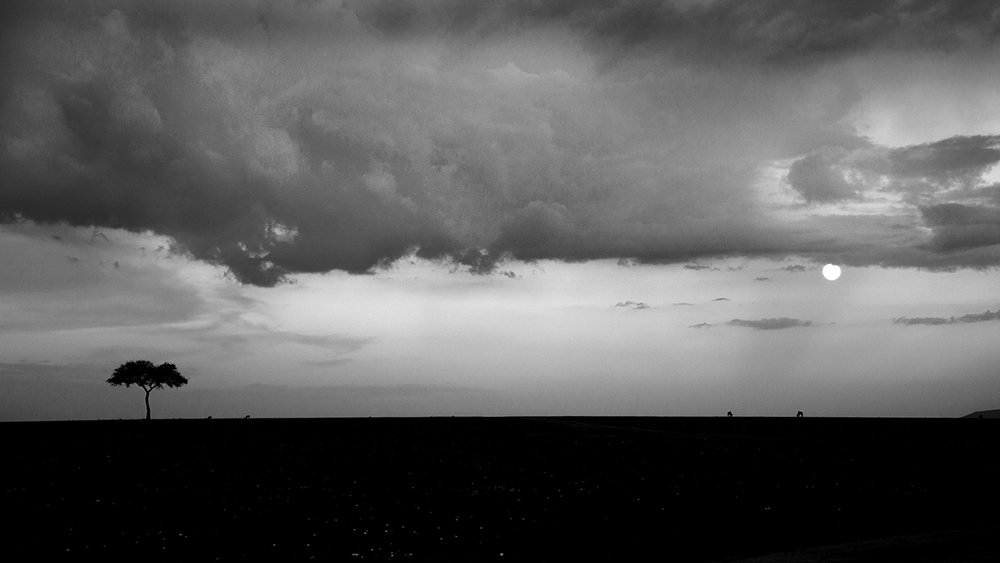 Nature in black n white